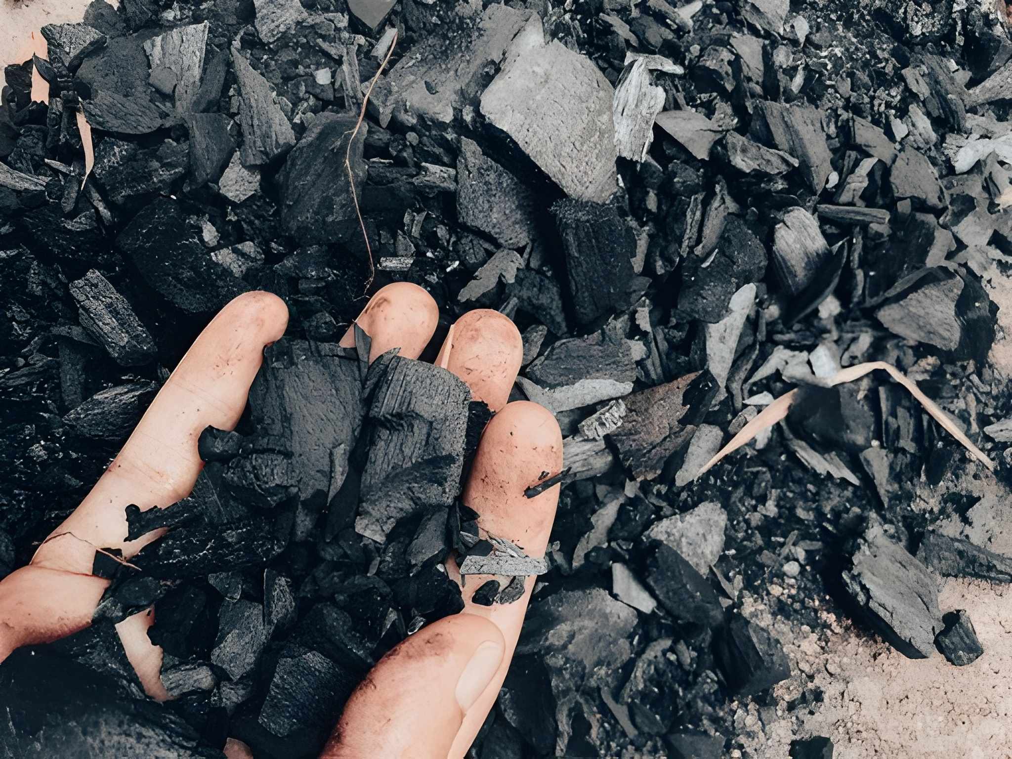 Coconut Shell Charcoal